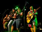 Hayseed Dixie