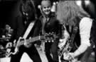 The Quireboys