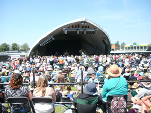 The Animals on The Main Stage