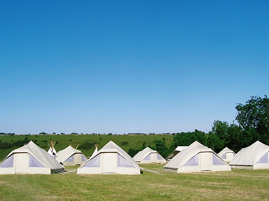Camel Camp