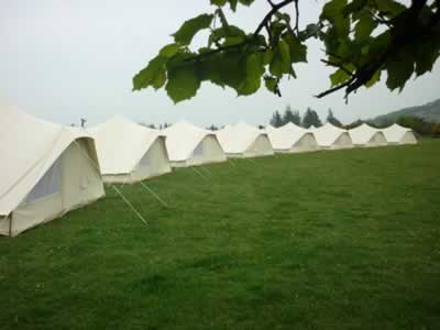 Camel Camp